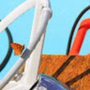 Meet your Posher, Rae